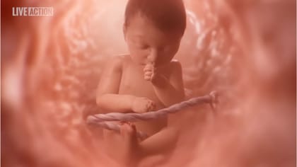 Utah lawmakers want to turn health class into an anti-abortion PSA